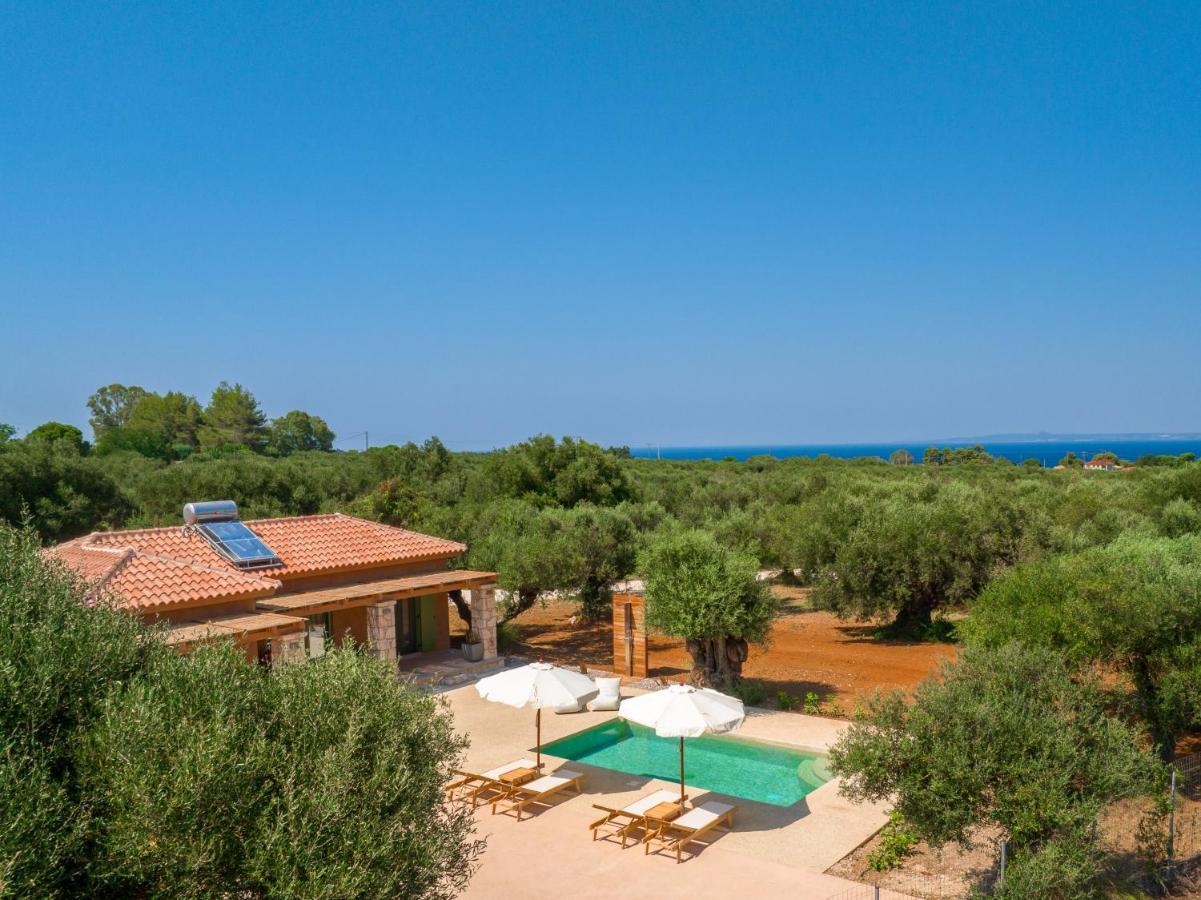 Terra Oleana Cottages Vasilikí Extérieur photo
