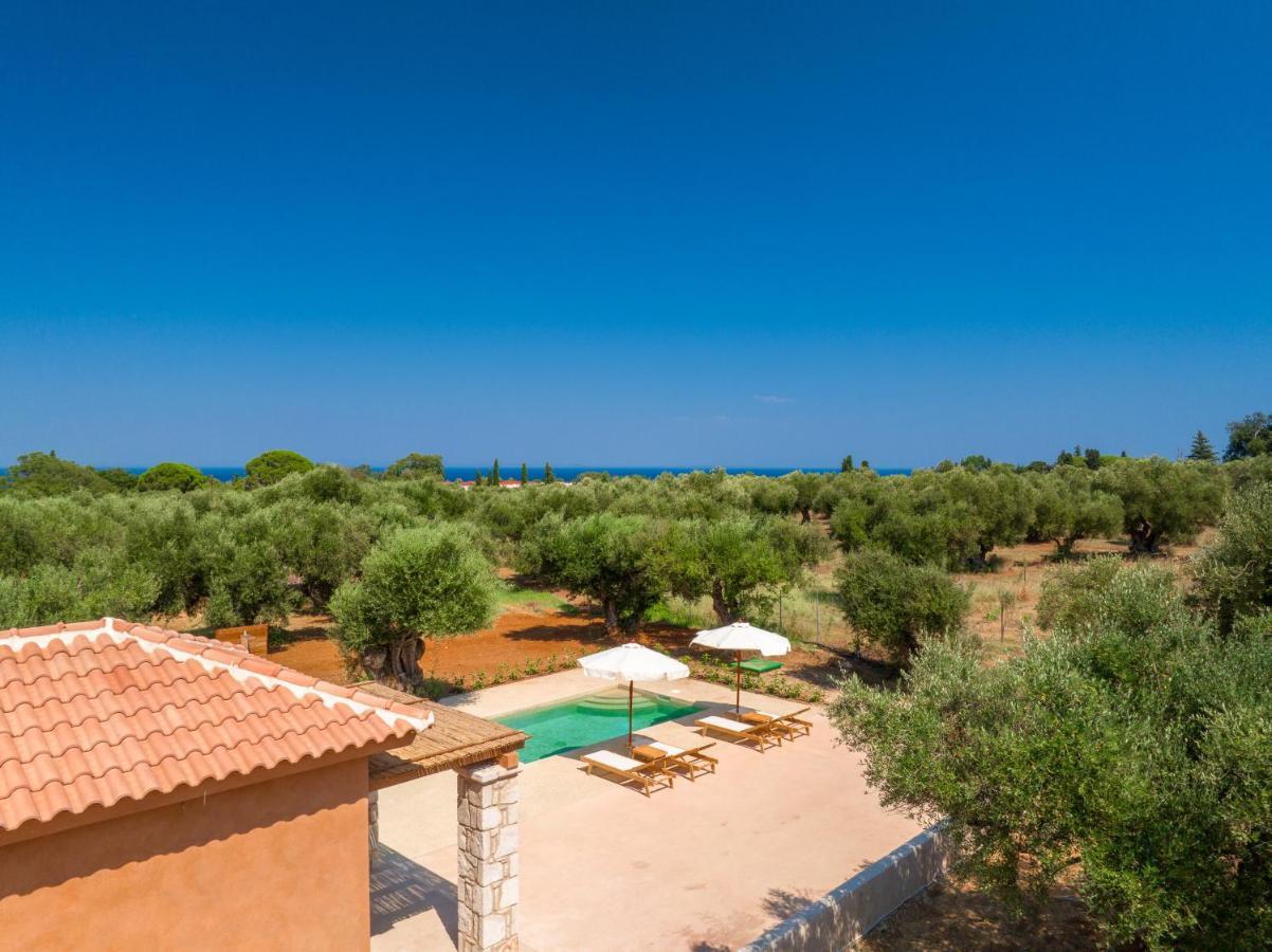 Terra Oleana Cottages Vasilikí Extérieur photo